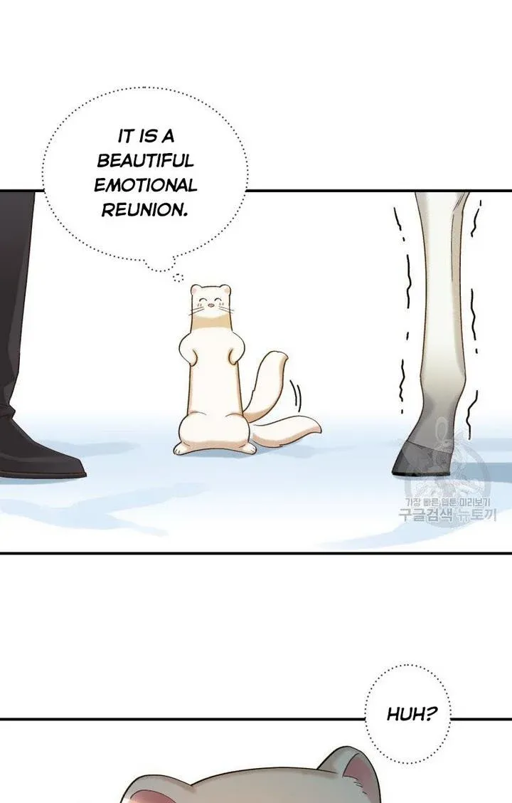 Death To The White Ferret Weasel Chapter 10 - page 63