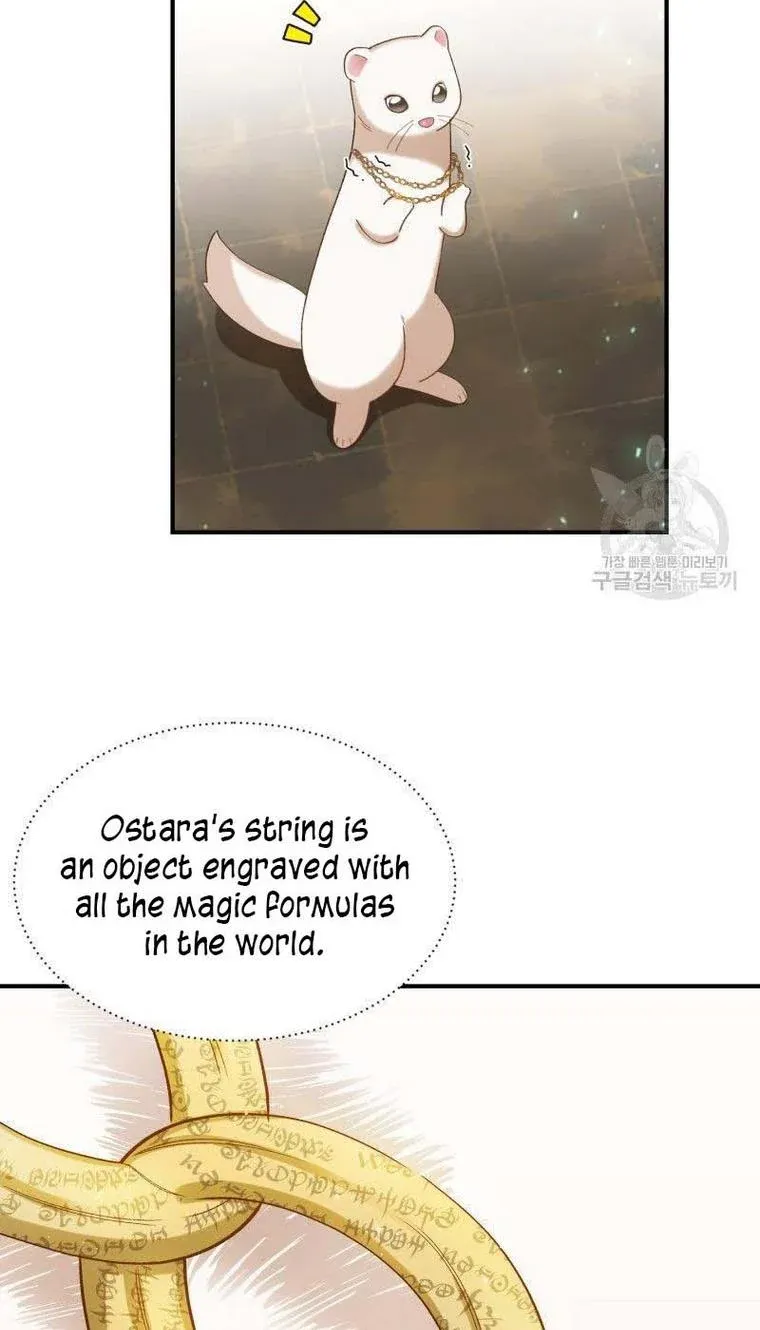 Death To The White Ferret Weasel Chapter 17 - page 37