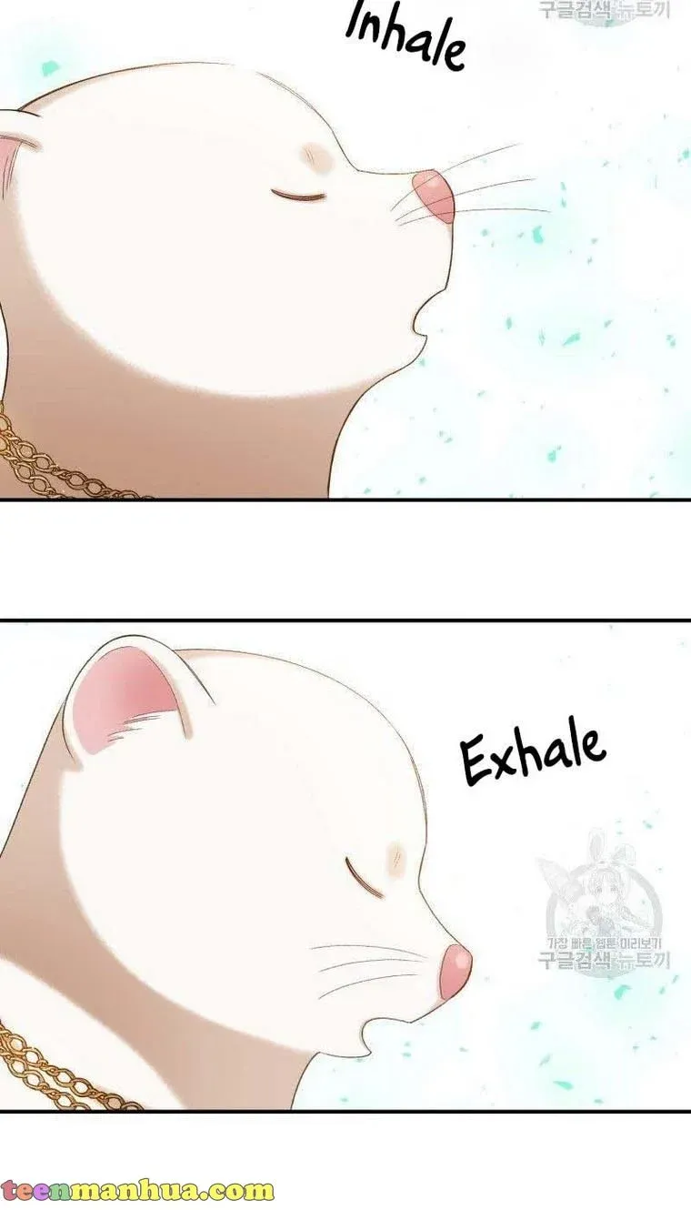 Death To The White Ferret Weasel Chapter 17 - page 39