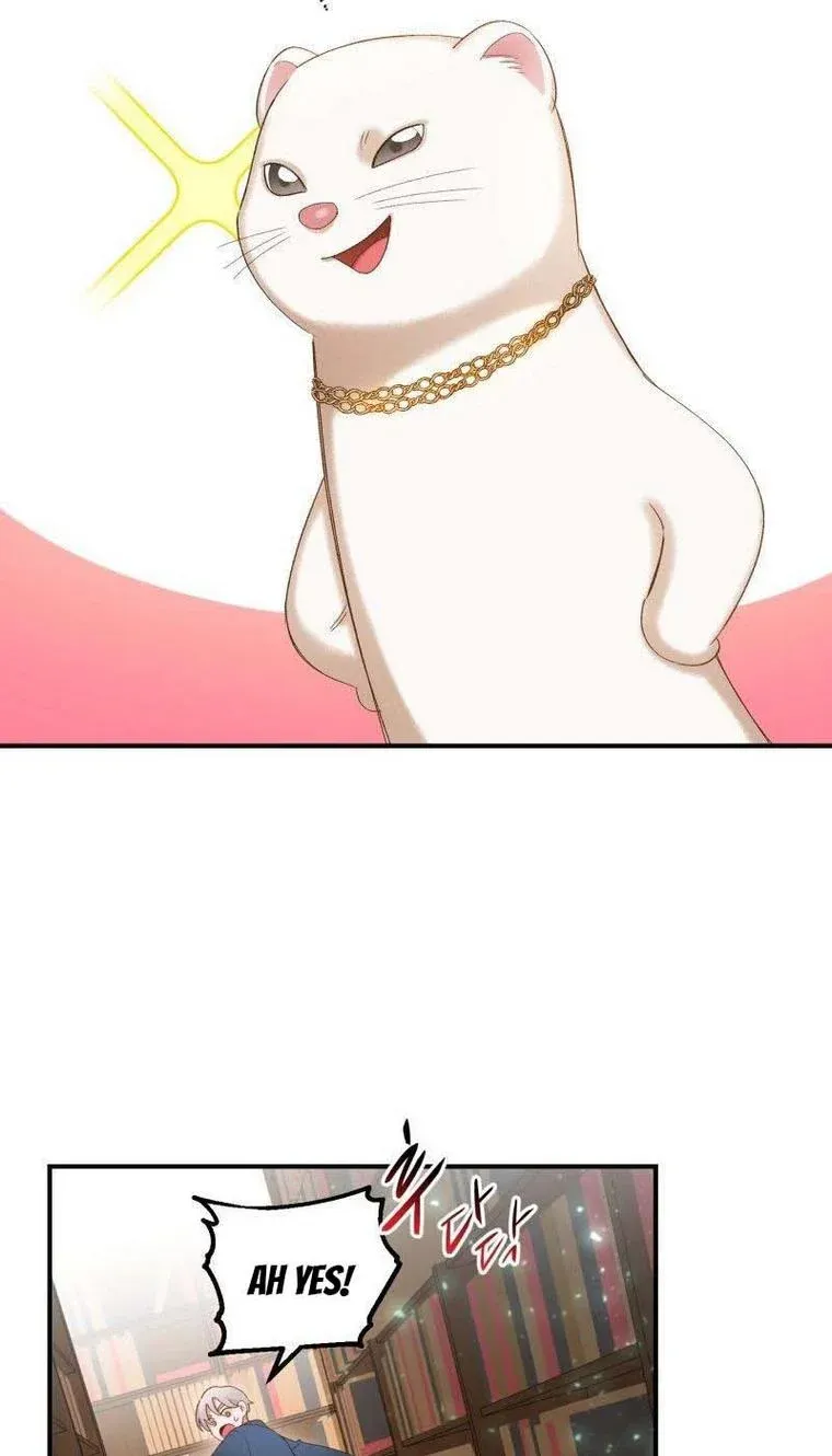 Death To The White Ferret Weasel Chapter 17 - page 47