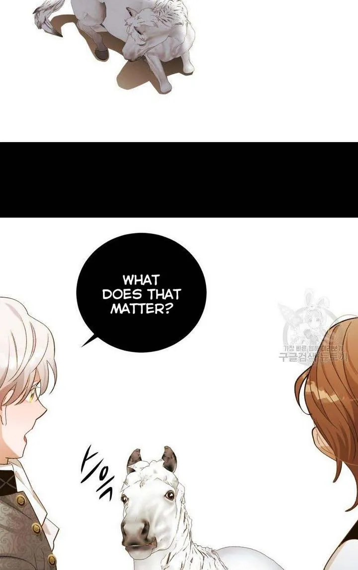 Death To The White Ferret Weasel Chapter 11 - page 24