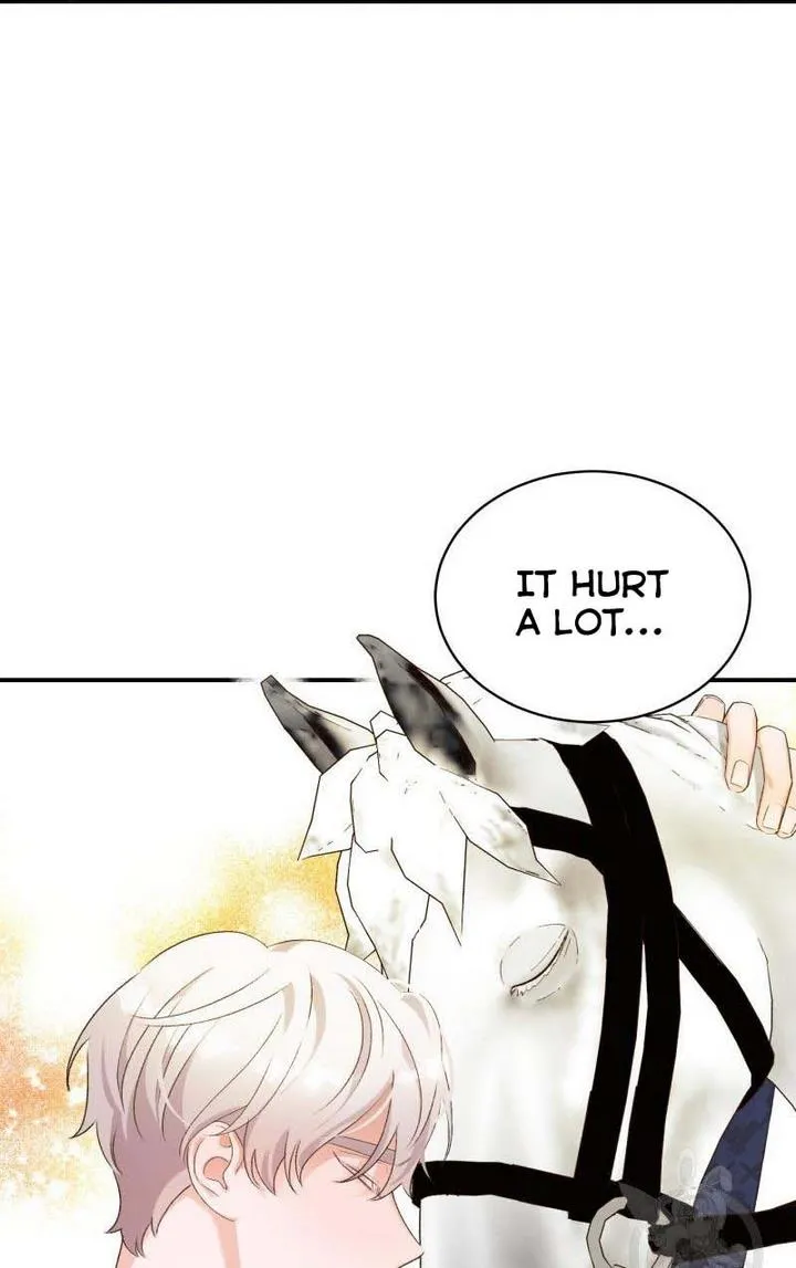 Death To The White Ferret Weasel Chapter 11 - page 40