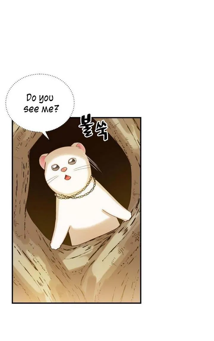 Death To The White Ferret Weasel Chapter 11 - page 54