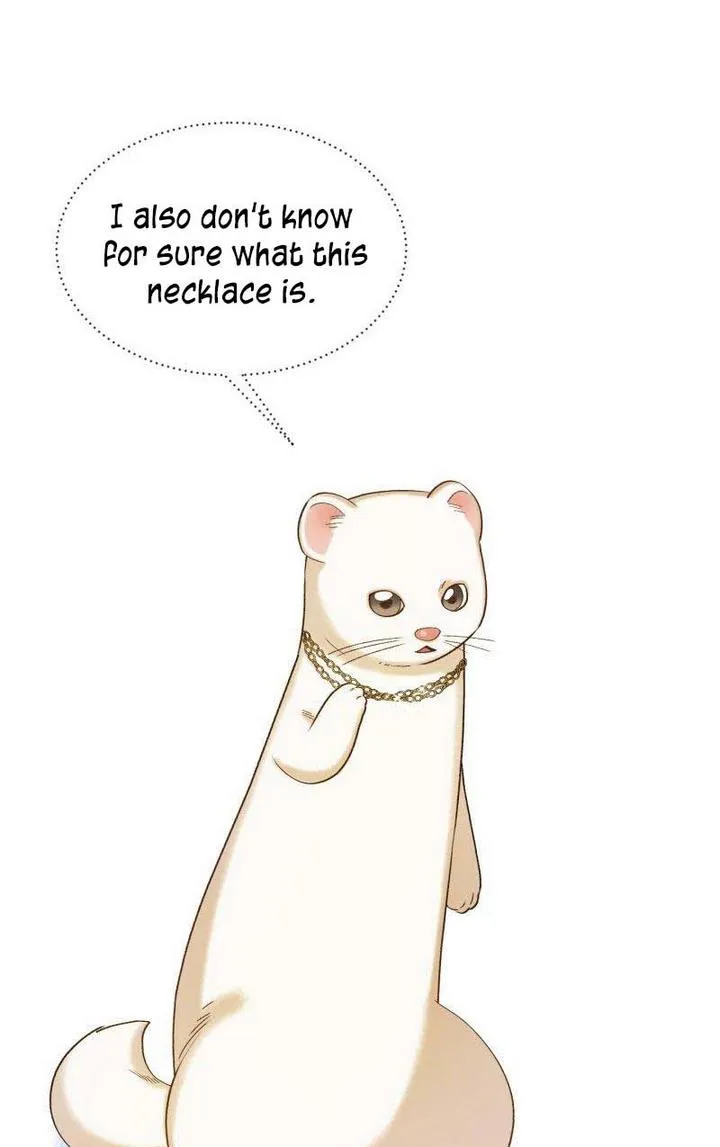 Death To The White Ferret Weasel Chapter 11 - page 63