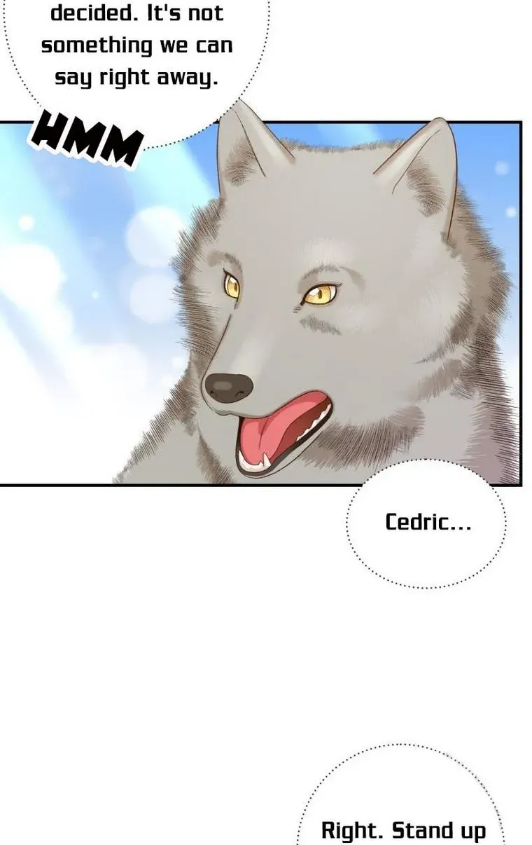 Death To The White Ferret Weasel Chapter 12 - page 74