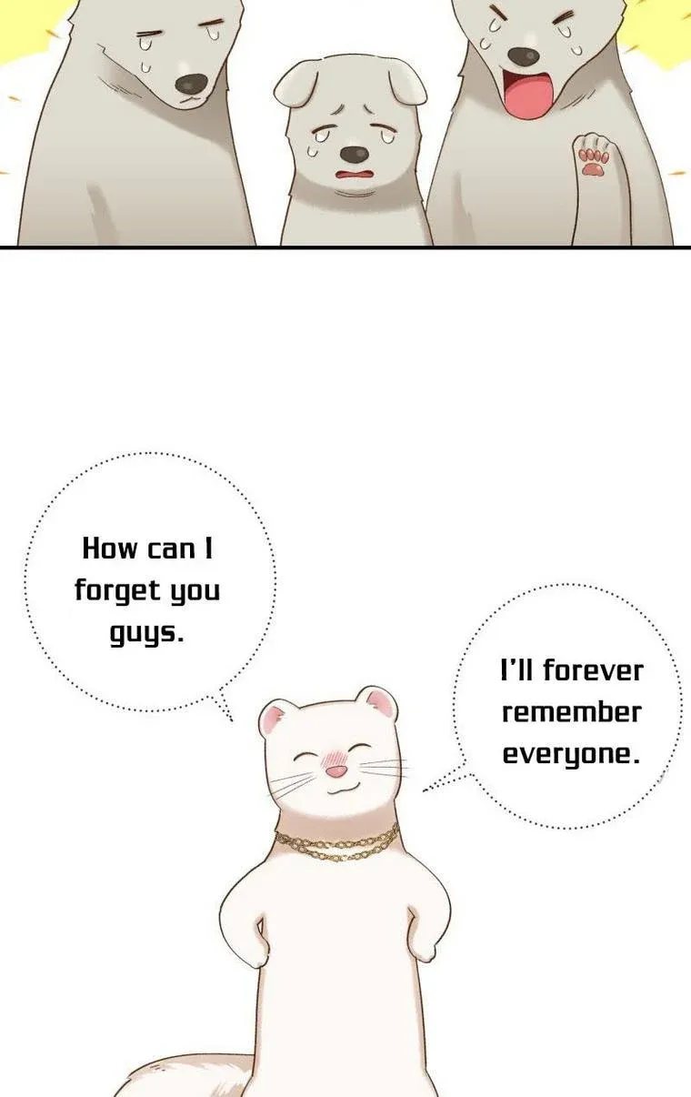 Death To The White Ferret Weasel Chapter 12 - page 76