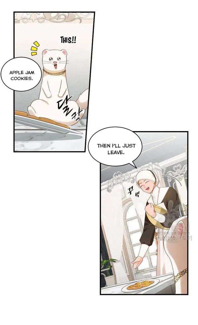 Death To The White Ferret Weasel Chapter 15 - page 14