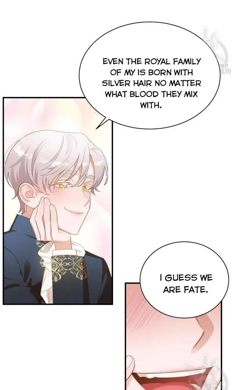 Death To The White Ferret Weasel Chapter 15 - page 33