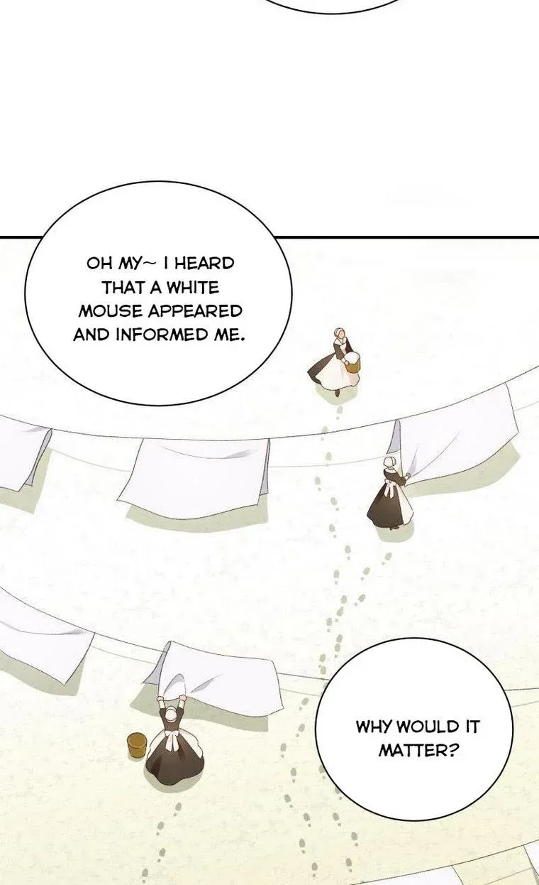 Death To The White Ferret Weasel Chapter 15 - page 6