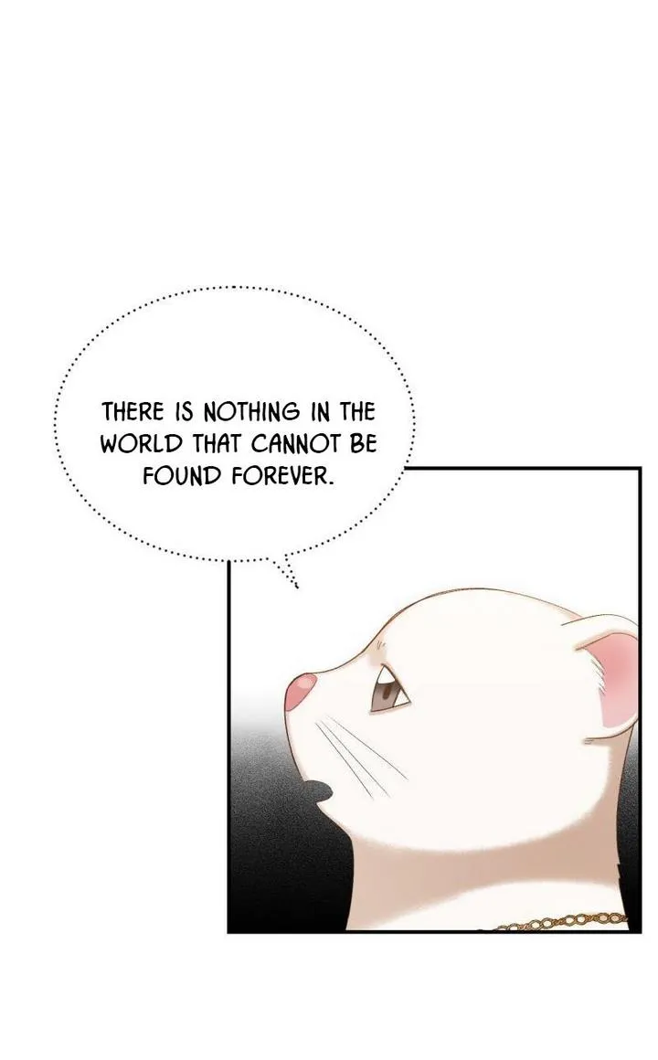 Death To The White Ferret Weasel Chapter 16 - page 36
