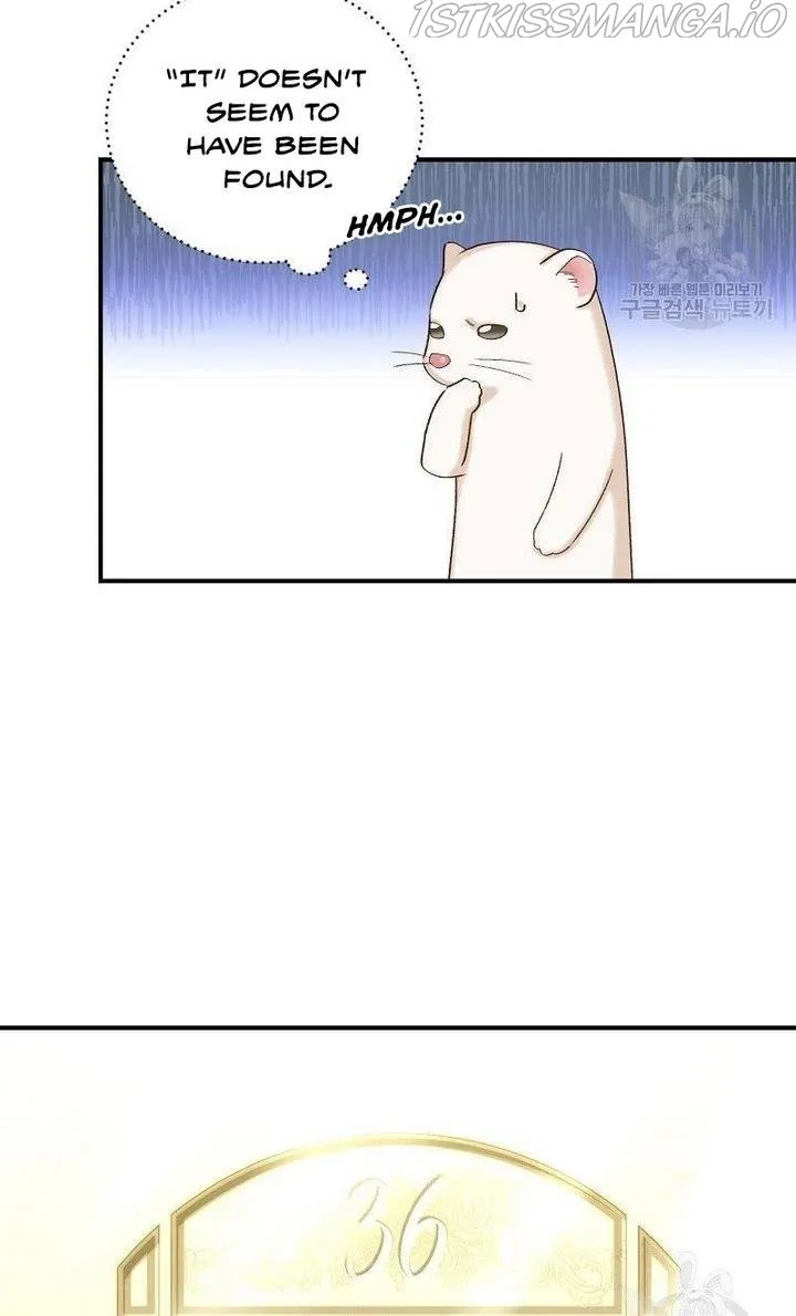 Death To The White Ferret Weasel Chapter 9 - page 46