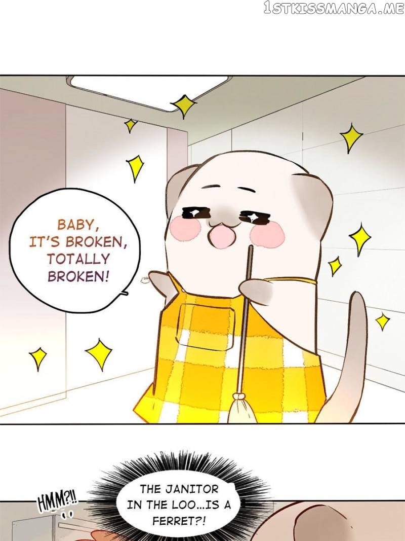 Stop! You Sexy Beast chapter 62 - page 1