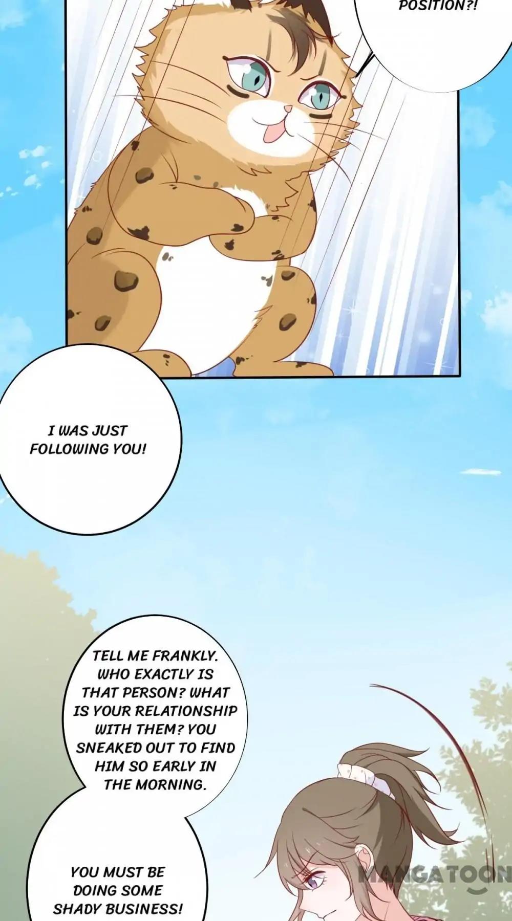 12 Evil Cats chapter 29 - page 10