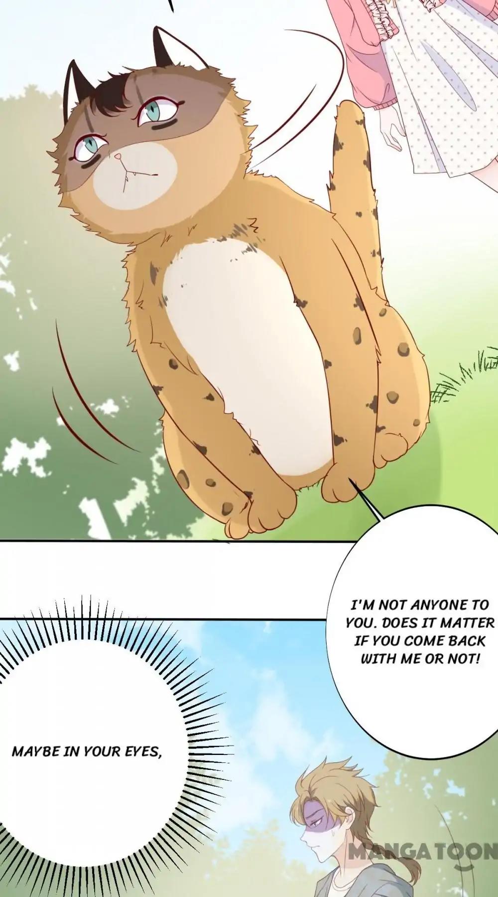 12 Evil Cats chapter 29 - page 20
