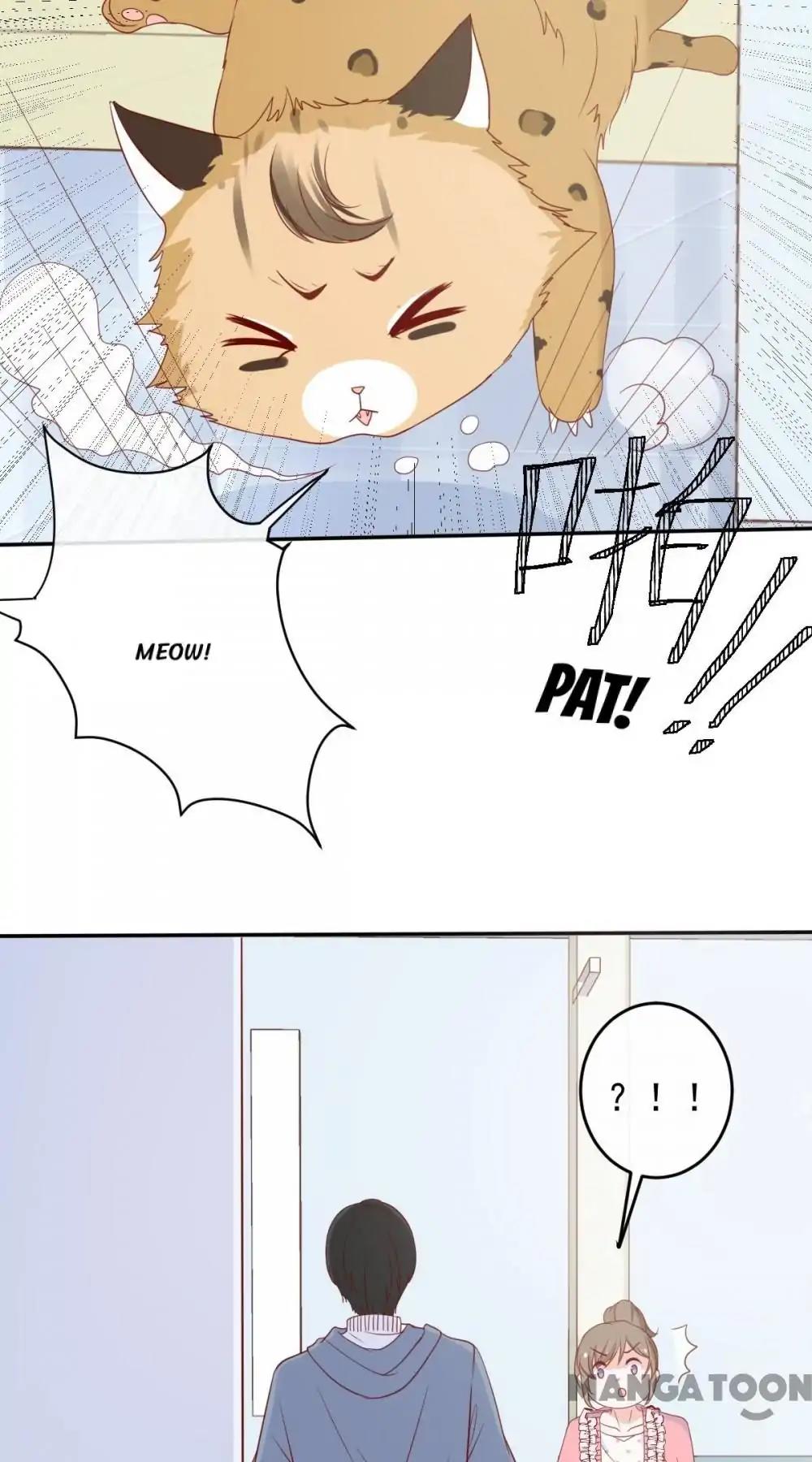12 Evil Cats chapter 29 - page 3