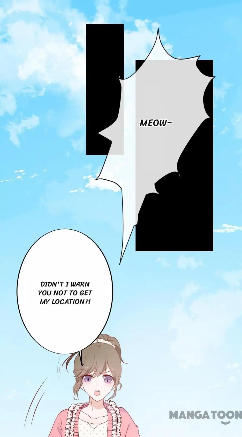 12 Evil Cats chapter 29 - page 8
