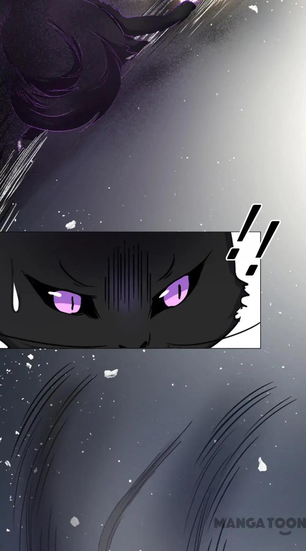 12 Evil Cats chapter 5 - page 16