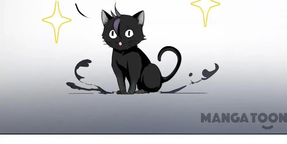 12 Evil Cats chapter 5 - page 18
