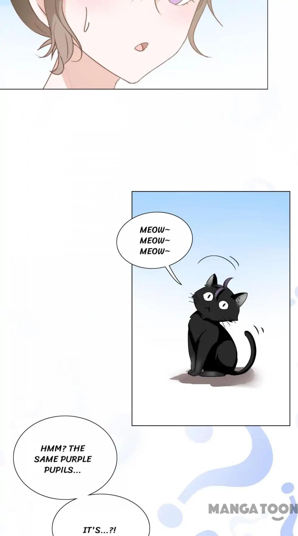 12 Evil Cats chapter 5 - page 21