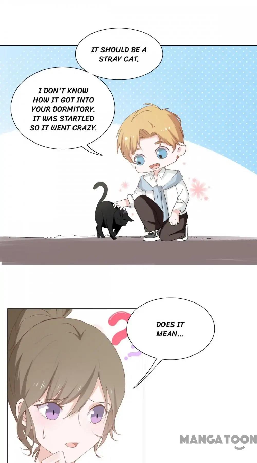 12 Evil Cats chapter 5 - page 23
