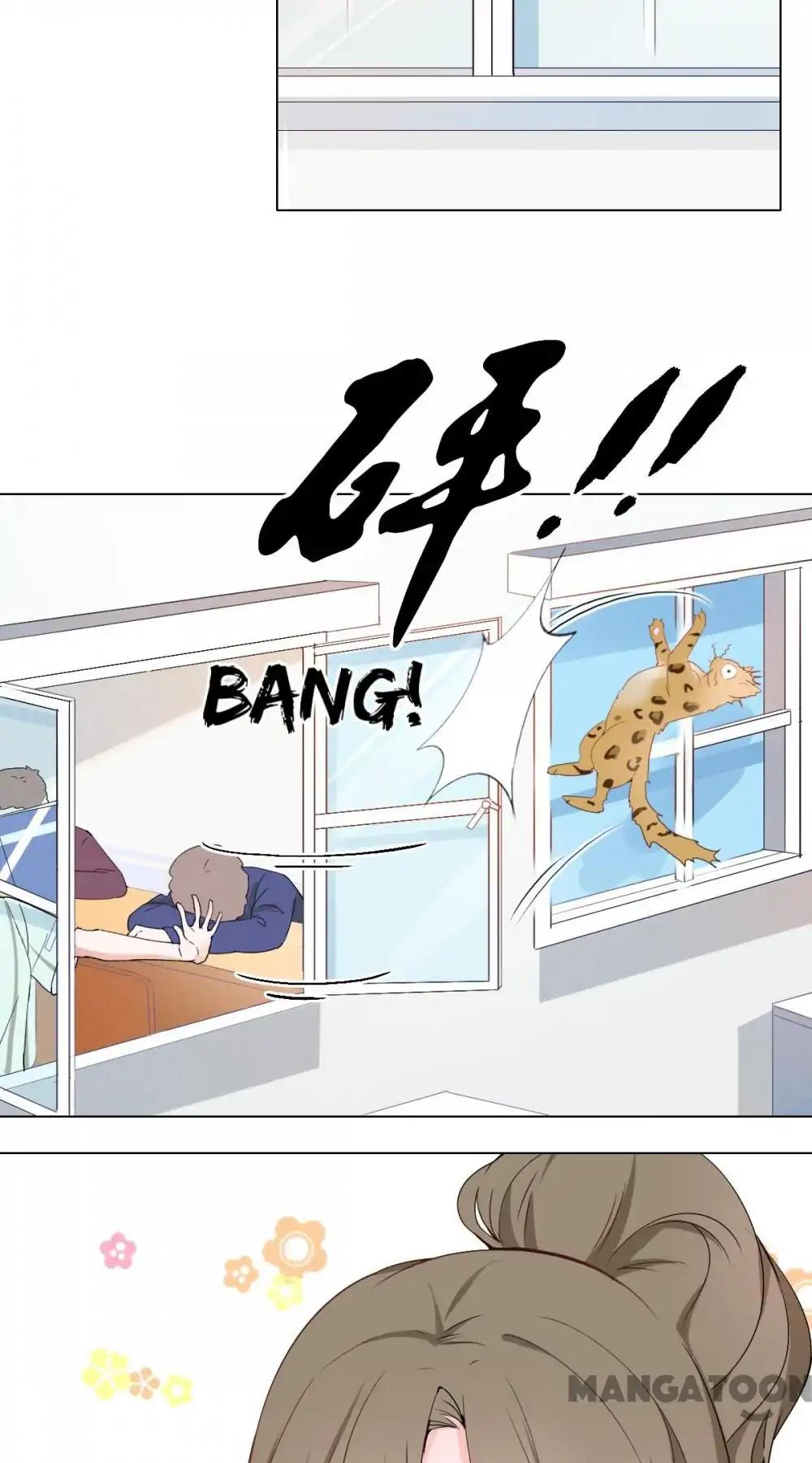 12 Evil Cats chapter 1 - page 17