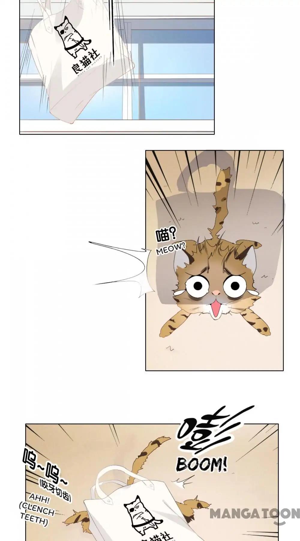 12 Evil Cats chapter 1 - page 22