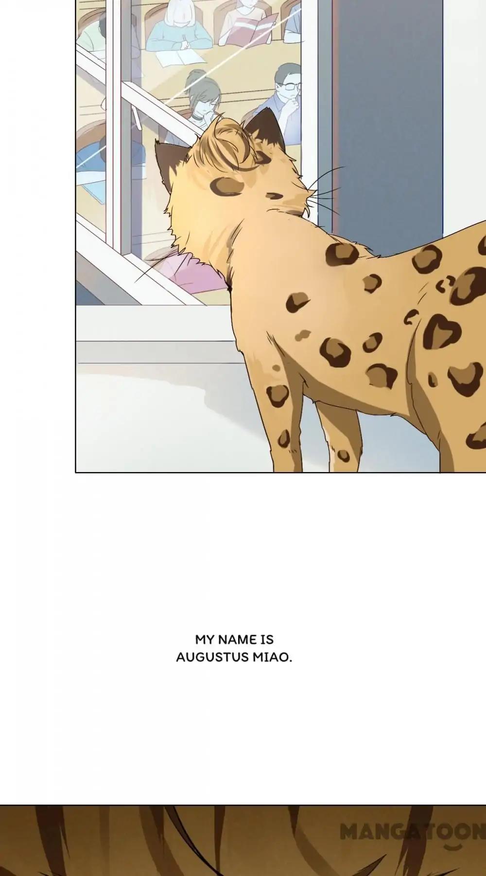 12 Evil Cats chapter 1 - page 3