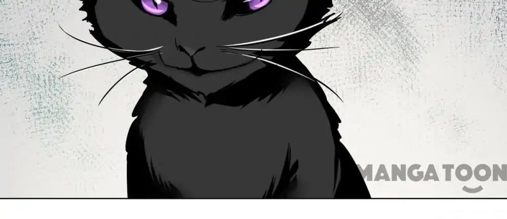 12 Evil Cats chapter 2 - page 40