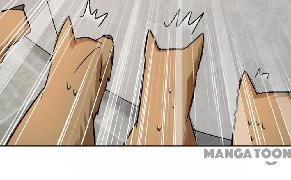 Princess Tigress Reborn: Hug Me General! chapter 33 - page 17