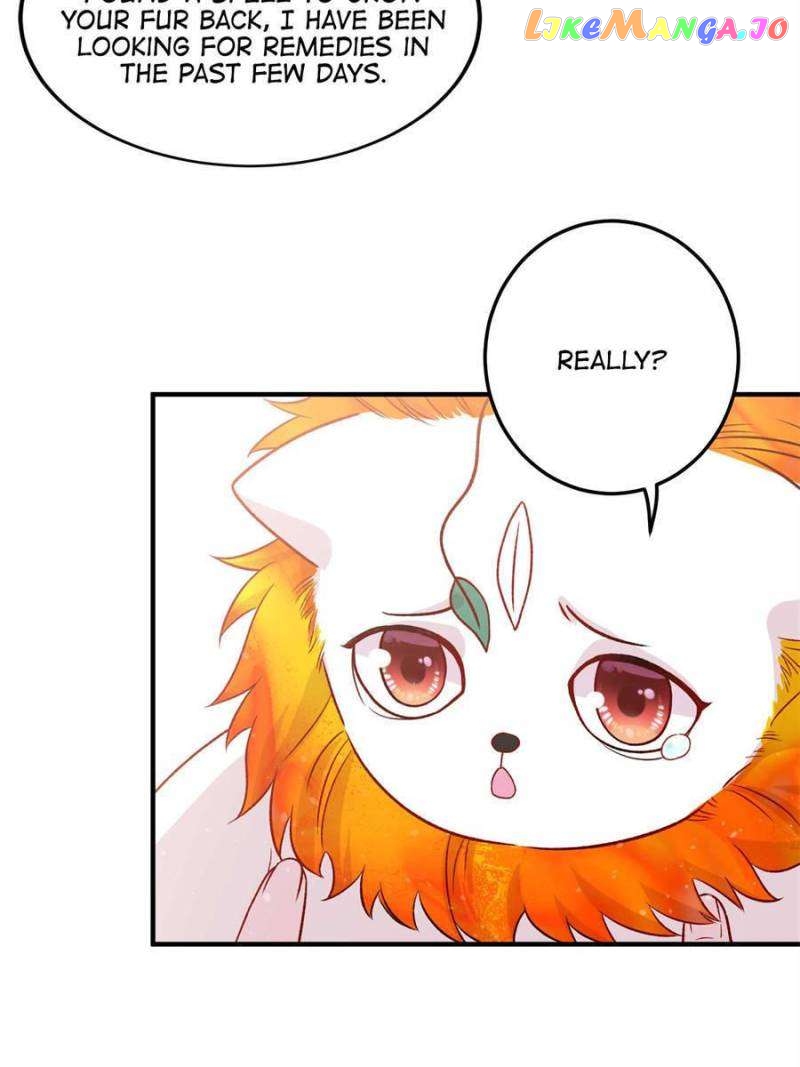 The Beauty and Her Adonises Chapter 50 - page 22