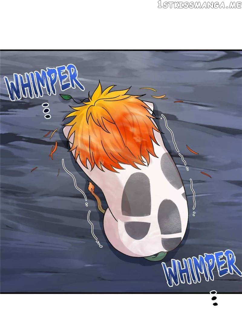 The Beauty and Her Adonises Chapter 25 - page 1