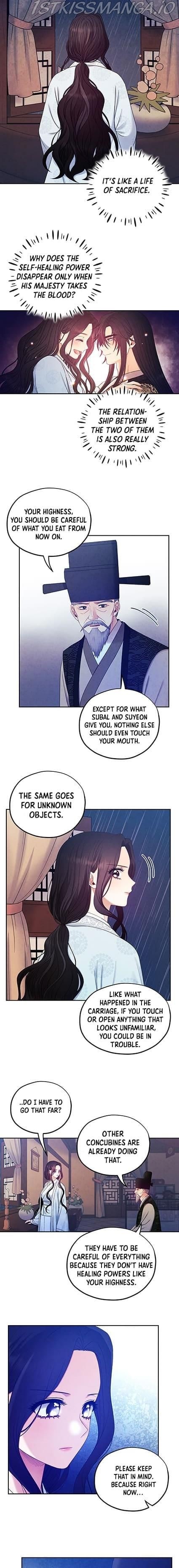 Elixir of the Sun chapter 62 - page 12