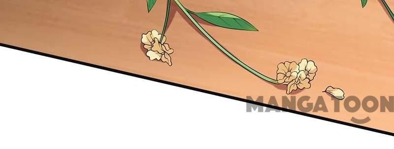 First Miss Reborn chapter 244 - page 29