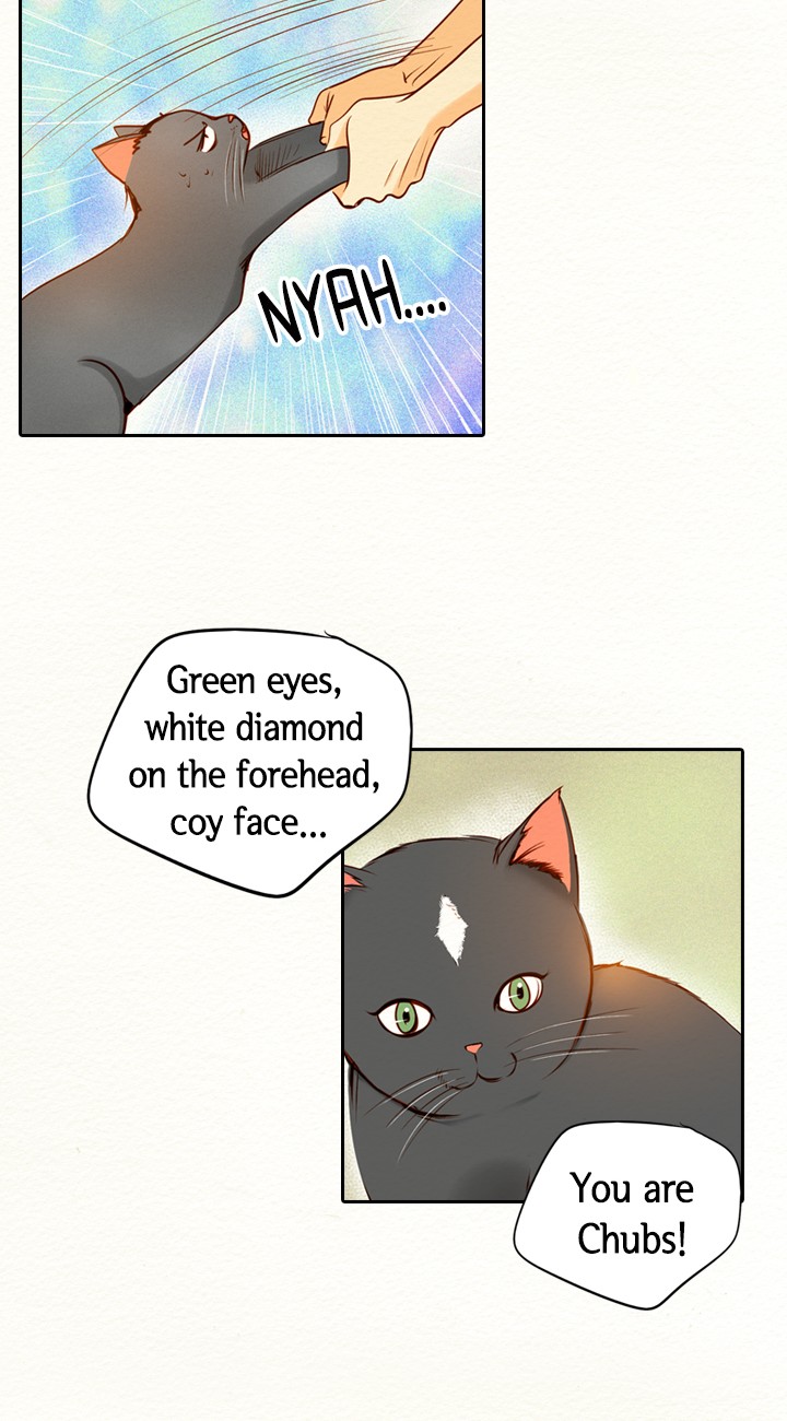 Witch Workshop Chapter 51 - page 33