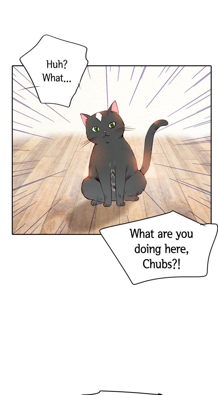 Witch Workshop Chapter 41 - page 47
