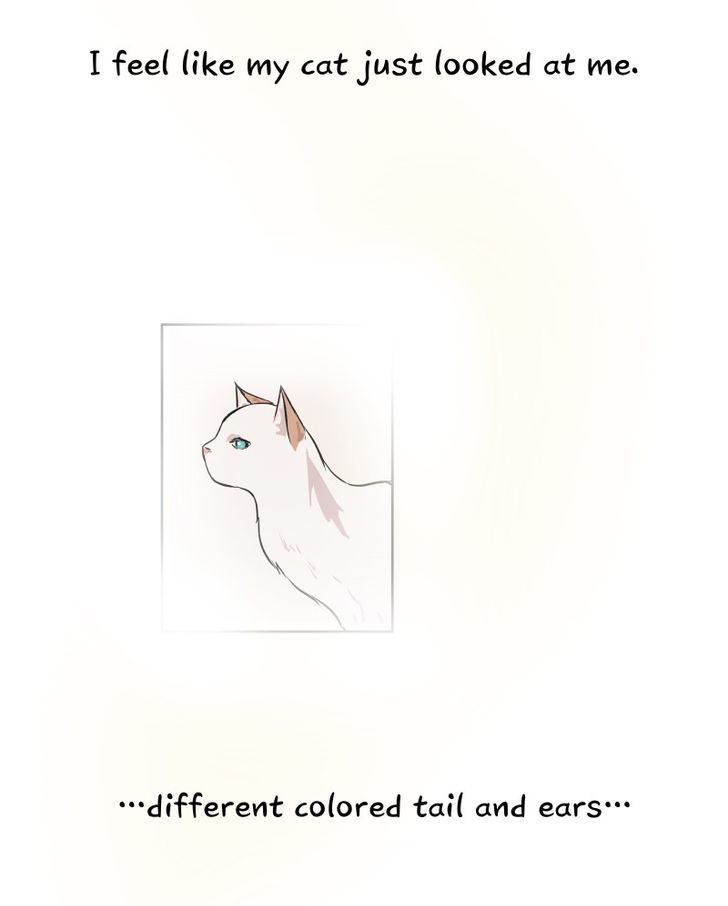 Fluffy Boyfriend chapter 11 - page 44