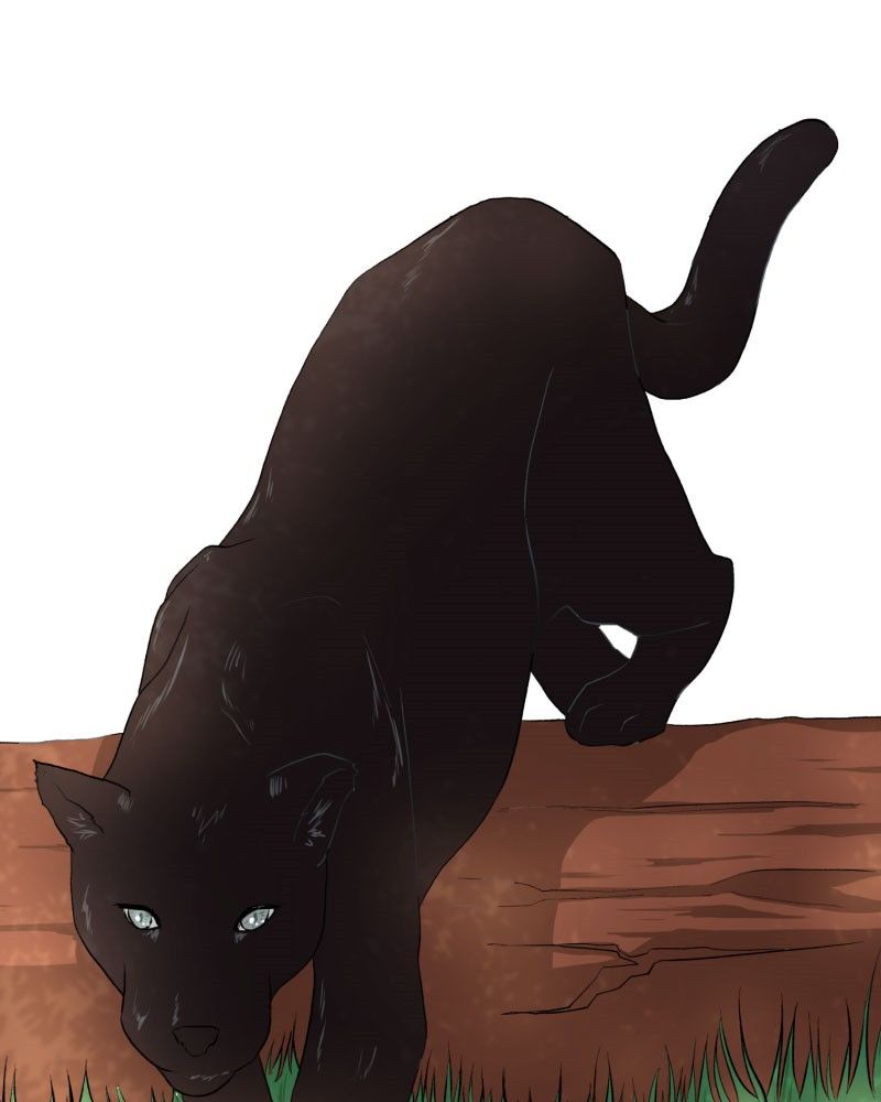 Fluffy Boyfriend chapter 15 - page 64
