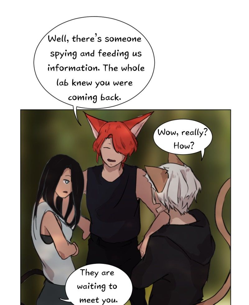 Fluffy Boyfriend chapter 19 - page 38