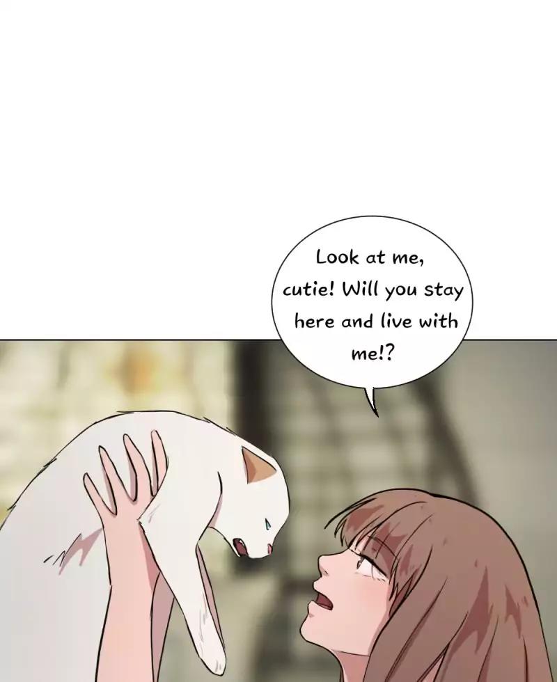 Fluffy Boyfriend chapter 23 - page 45