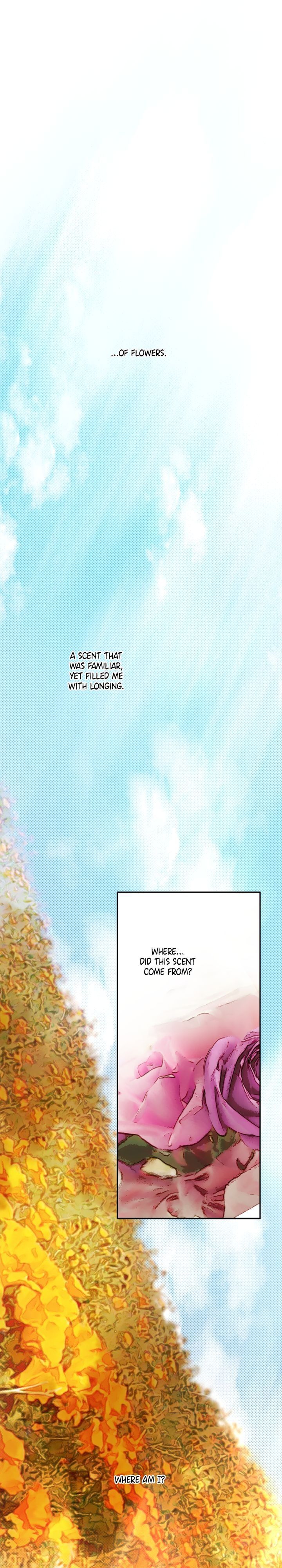 The Tyrant’s Comfort Doll chapter 29 - page 12