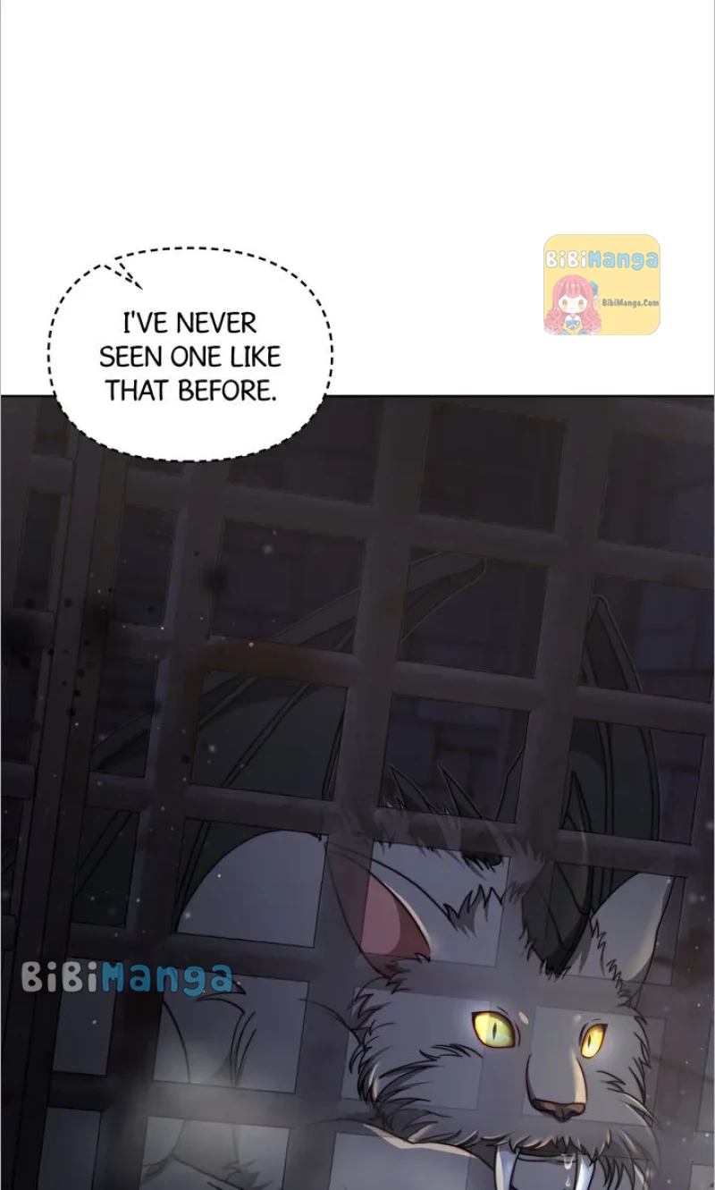 The Forgotten Princess Wants To Live In Peace Chapter 72 - page 14