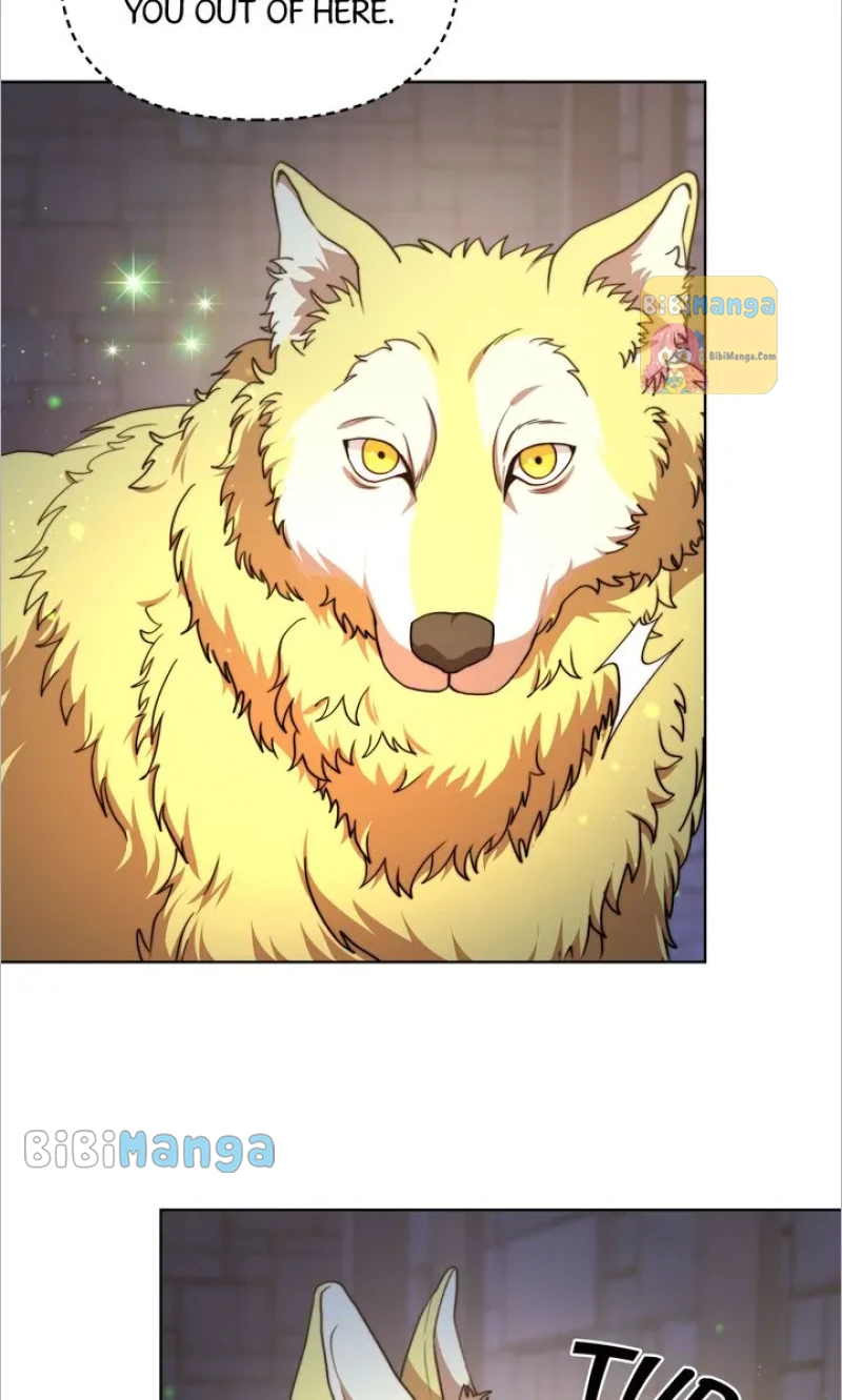 The Forgotten Princess Wants To Live In Peace Chapter 72 - page 45
