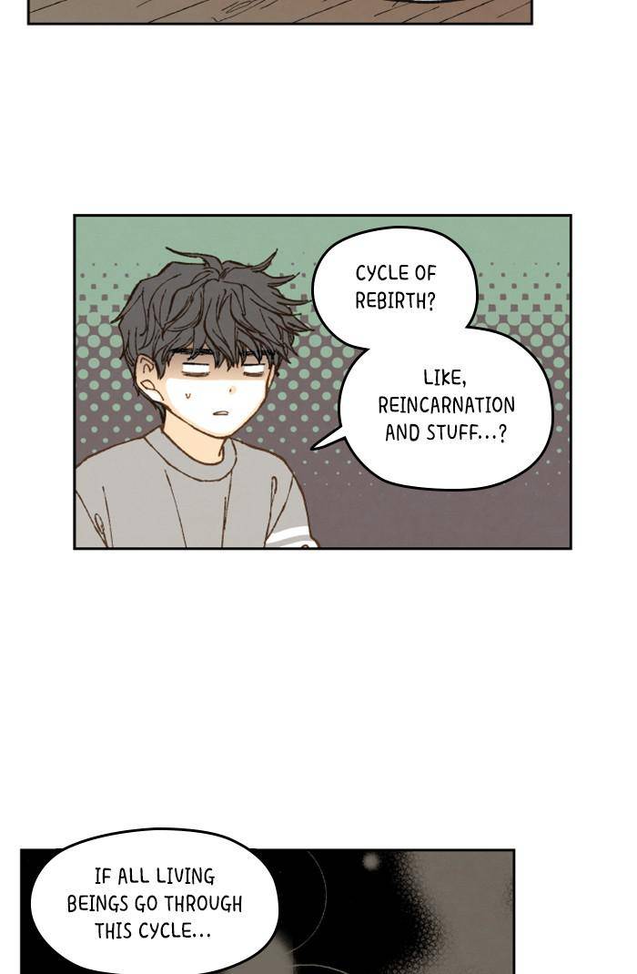 How to Become a Dragon chapter 71 - page 25