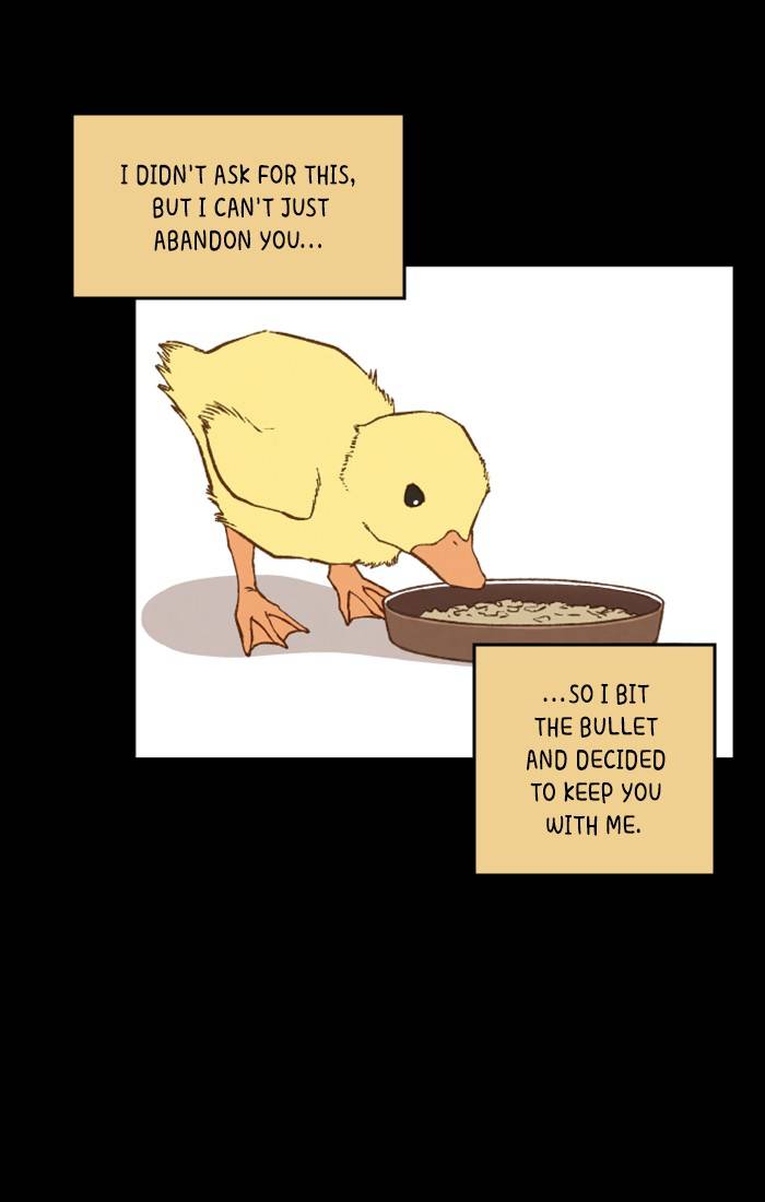 How to Become a Dragon chapter 67 - page 3