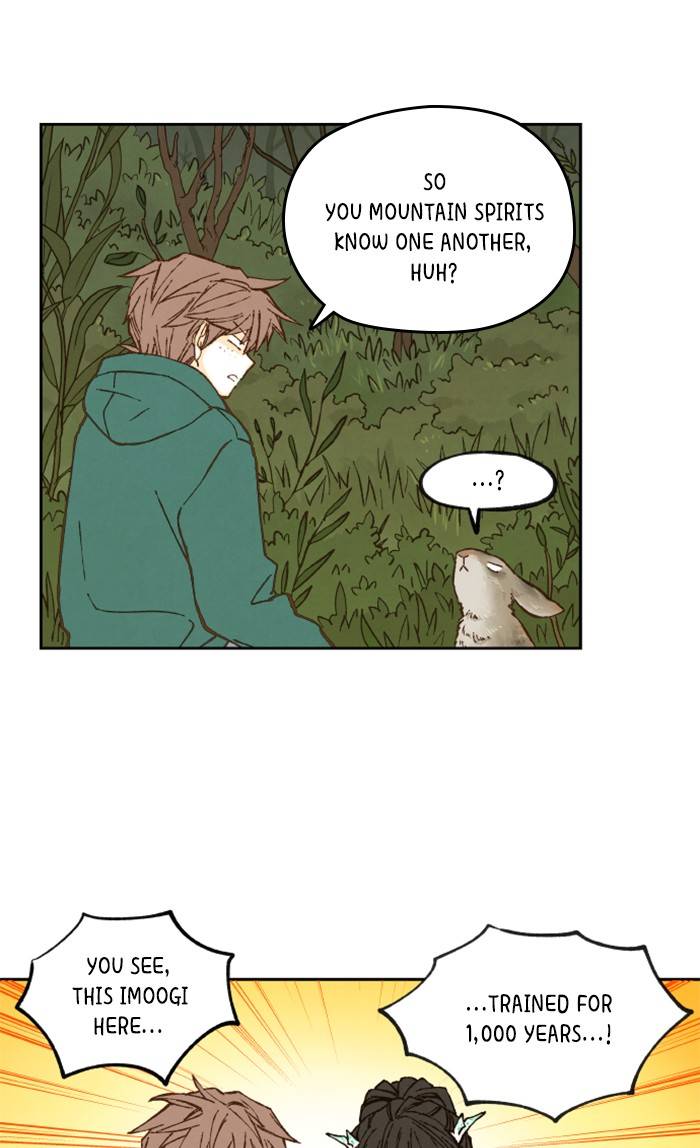 How to Become a Dragon chapter 65 - page 11