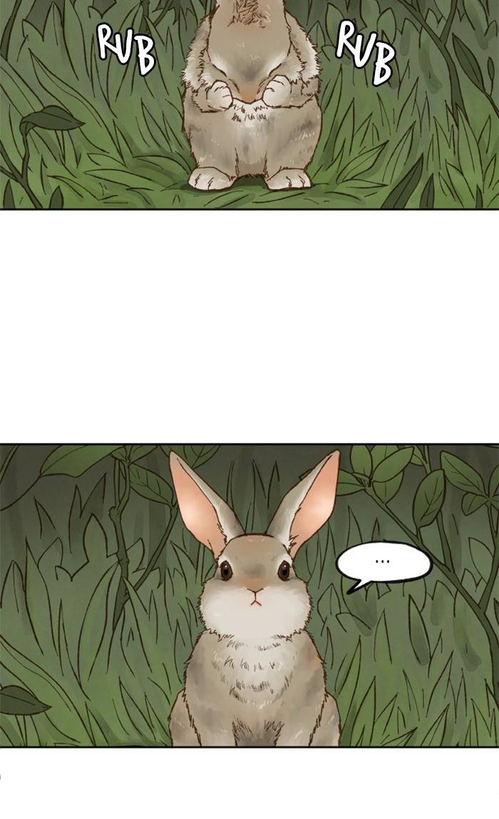 How to Become a Dragon chapter 65 - page 2