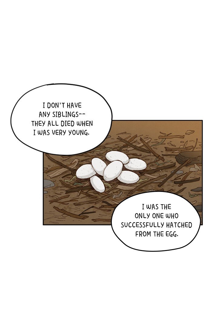 How to Become a Dragon chapter 8 - page 23