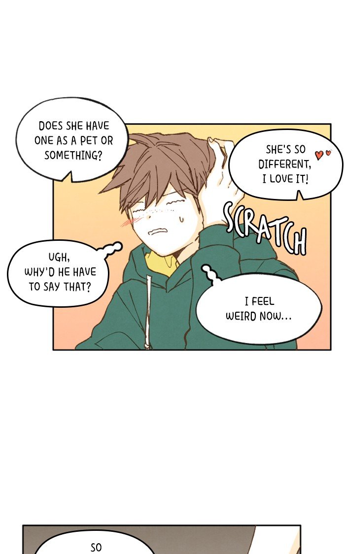 How to Become a Dragon chapter 29 - page 15