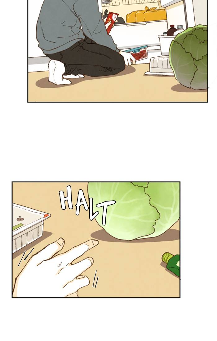 How to Become a Dragon chapter 51 - page 40