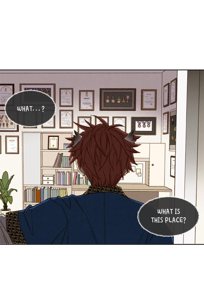 How to Become a Dragon chapter 117 - page 1